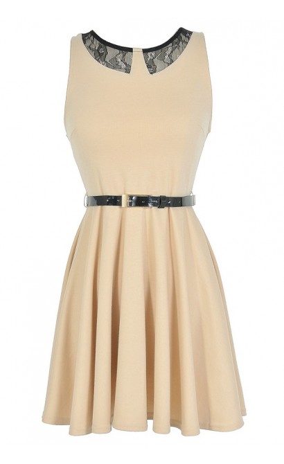 Black and Beige Faux Collar Belted A-Line Dress